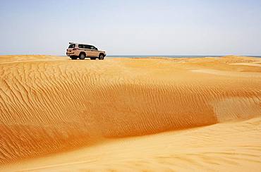 Off-road vehicle drives on sand dune, desert safari, desert Rimal Wahiba Sands, Oman, Asia