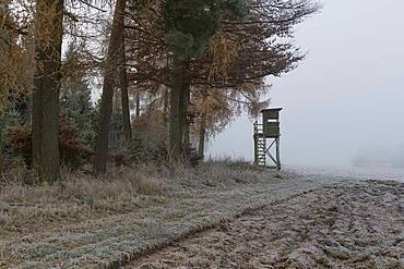 Hunter's blind at the edge of the forest in morning fog, Baden-Wuerttemberg, Germany, Europe