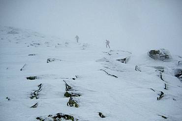 Snowshoe tour at Schneetreiben, Lusen, Bavarian Forest, Lower Bavaria, Bavaria, Germany, Europe