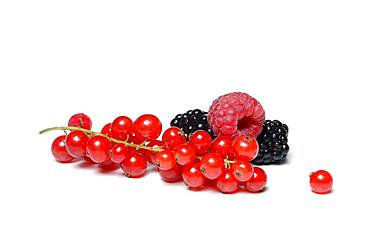 Red currants, blackberries and raspberries, Germany, Europe