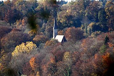 Church surrounded by trees in autumn, Heilig Kreuz, Burghausen, Upper Bavaria, Bavaria, Germany, Europe