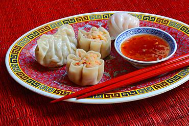 Dim Sum, filled dumplings on plate with red chopsticks and chilli sauce, Germany, Europe