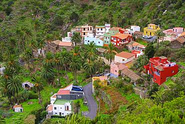 Macayo, near Vallehermoso, La Gomera, Canary Islands, Spain, Europe