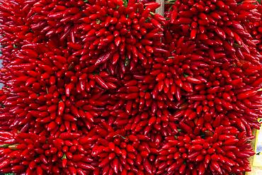 Fresh peppers (Capsicum) on the market, Venice, Italy, Europe