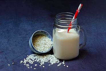 Rice milk in glass with drinking straw and rice grains, Germany, Europe