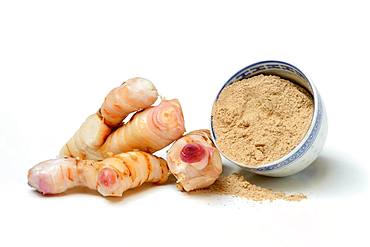 Galangal roots and galangal powder in bowl, Germany, Europe