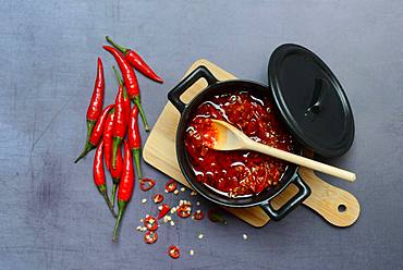 Crushed chillies pickled in oil in pot with wooden spoon, Germany, Europe