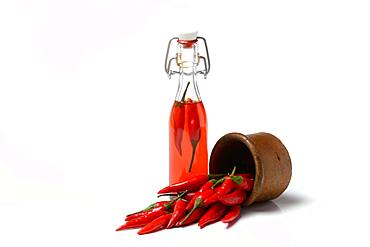 Chili oil in bottle and red chillies in ceramic vessel, Germany, Europe