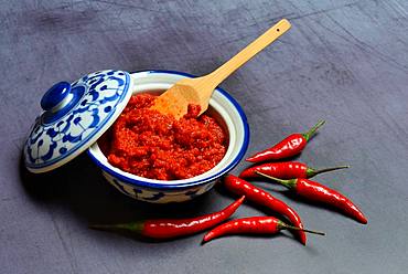 Red Thai curry paste and red chilli peppers, Germany, Europe