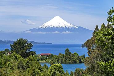 Osorno Volcano and Lake Llanquihue, Puerto Octay, Region de los Lagos, Chile, South America