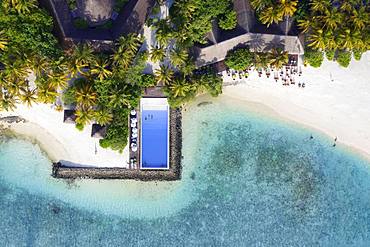 Sandy beach beach with swimming pool and beach bar, Summer Island, North Male Atoll, Maldives, Asia