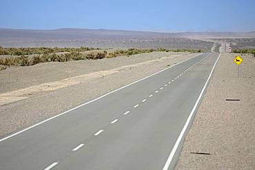 Lonely road through the plateau near Uspallata, Mendoza province, Argentina, South America