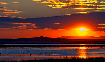 Sunrise over Tsagaan Lake, Terchiin Tsagaan Nuur National Park, Bulgan-Aimag, Mongolia, Asia