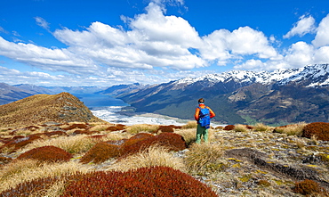 Hiker on the summit of Mount Alfred, views of Lake Wakatipu and mountain peaks, Glenorchy near Queenstown, Southern Alps, Otago, South Island, New Zealand, Oceania