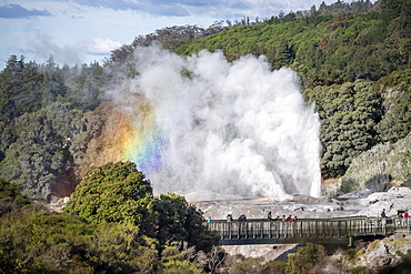 Tourists on bridge, view of erupting Pohutu Geyser with rainbow, Te Puia, Whakarewarewa, Rotorua, Bay of Plenty, New Zealand, Oceania