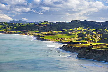 Castlepoint coastline, mountain landscape with green hills and pasture land, Masterton, Wellington, New Zealand, Oceania