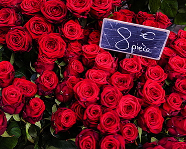 Red roses with price list on Valentine's Day, on offer in florist, Paris, France, Europe