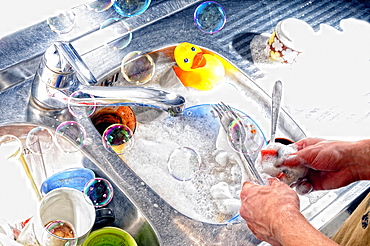 Man hands, man washes dishes, Germany, Europe