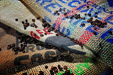 Roasted coffee beans, studio shot, Germany, Europe