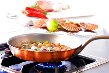 Pan with fish and mussels on gas stove, Germany, Europe