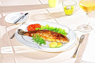 Trout Muellerin, served on white plate, main course, Germany, Europe