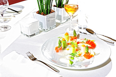 Garnish salmon fillet, served on white cover, main course, Germany, Europe