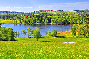 Early landscape with Lake Bayersoiener See, in the back village Schoenberg, Bad Bayersoien, Upper Bavaria, Bavaria, Germany, Europe