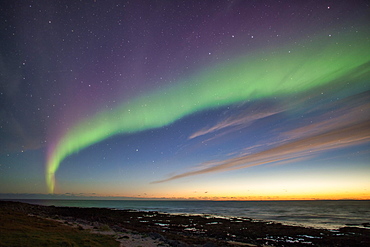 Northern Lights (Aurora borealis), Latravik Bay, near Latrabjarg, Westfjords, Iceland, Europe