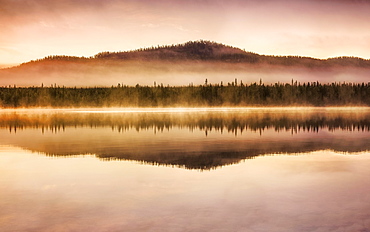 Autumnal fog atmosphere on the lake shore in the evening light, Jokkmokk, Norrbottens laen, Sweden, Europe