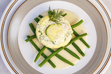 Swabian cuisine, Ofenschlupfer with pike-perch, green beans with sauce arranged on plates, dill, Germany, Europe