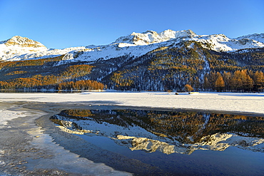 Evening mood at the Lake Silvaplana, behind snow-covered Piz Corvatsch, Silvaplana, Upper Engadin, Canton Graubuenden, Switzerland, Europe