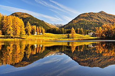 Autumnally discoloured larch forest reflected in Schwarzsee, Laret, Davos, Canton Graubuenden, Switzerland, Europe