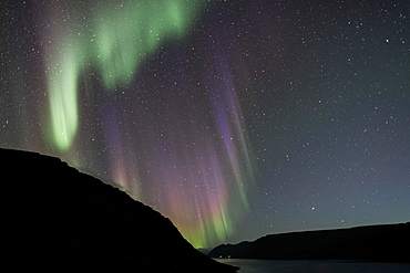 Northern Lights over Arnarfjoerour, Northwest Iceland, Iceland, Europe