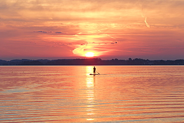 Sunset, Paddler on Standup-Paddle Board, Chiemsee, Upper Bavaria, Bavaria, Germany, Europe