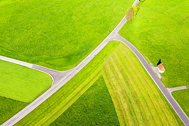 Cultural landscape, meadows and road crossings, Chapel St. Antonius, near Hopferau, drone recording, East Allgaeu, Allgaeu, Swabia, Bavaria, Germany, Europe