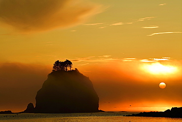 Sunset over the Pacific Ocean at La Push, Olympic Coast, Washington, USA, North America