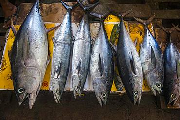 Fish for sale, Fishmarket, Mogadishu, Somalia, Africa