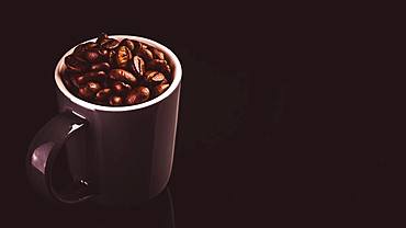 Brown espresso cup with coffee beans, black background, studio shot, Austria, Europe