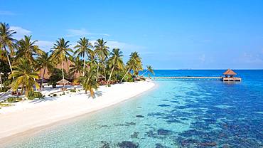 Bird's eye view, lagoon and beach with (Cocos nucifera), in the background jetty, Filaidhoo, Raa Atoll, Maldives, Asia