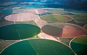 Soy, Corn, Cotton and Coffee irrigated plantations in the western state of Bahia, Brazil, South America