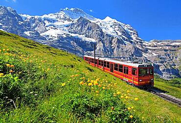 Jungfrau Railway at Kleine Scheidegg in front of the Jungfrau-Massif, UNESCO World Natural Heritage, Wengen, Jungfrau Region, Bernese Alps, Bernese Oberland, Canton of Bern, Switzerland, Europe