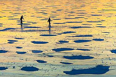 Skating on the ice of the Duemmer in winter at sunset, Lembruch, Lower Saxony, Germany, Europe