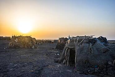 Village with huts of the Afar nomads at sunset, Danakil Depression, Afar Region, Ethiopia, Africa