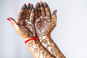 Hand of a bride painted with henna on the eve of the wedding, Port Louis, Mauritius, Africa