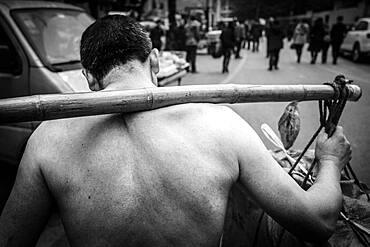 Bang-bang carriers in a market at the port of Chongqing, the carriers are like a caste of their own, carrying loads for the traders for little money, mostly immigrant workers from rural areas, Chongqing, China, Asia