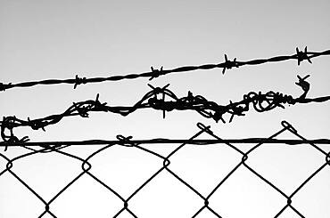 Barbed wire fence in front of the sky, symbolic picture of captivity, Stuttgart, Baden-Wuerttemberg, Germany, Europe