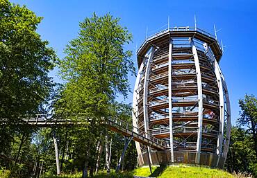 Observation tower at the tree top path Salzkammergut am Gruenberg, Gmunden, Salzkammergut, Upper Austria, Austria, Europe