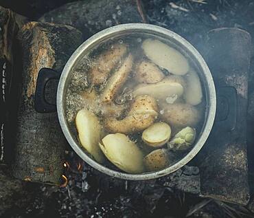 Potato pot, meal of a family of refugees in the camp Idomeni, Greece, Europe