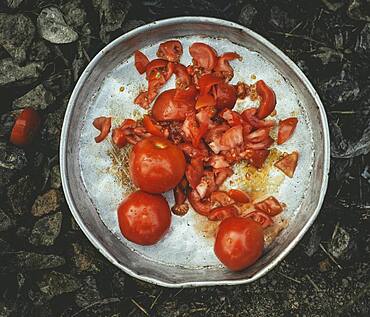 Tomatoes on a tray, meal of a family of refugees in the camp Idomeni, Greece, Europe