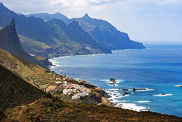 Coastal road with cliffs near the village of Almaciga, Anaga Mountains, Tenerife, Canary Island, Spain, Europe